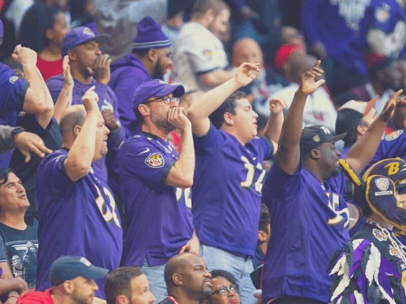 Baltimore: Ravens Football Game Ticket at M&T Bank Stadium - Who Will Love This?