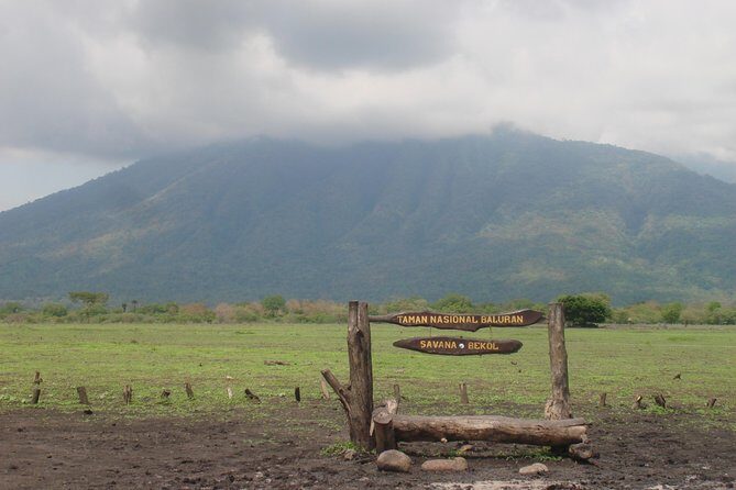 Baluran Trip - An In-Depth Look at the Baluran Trip Experience