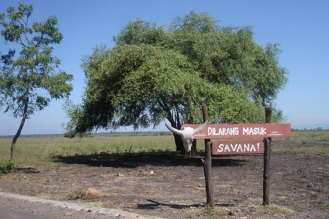 Baluran Trip - FAQ