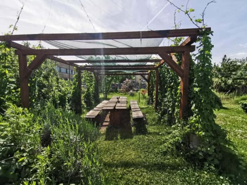 Bamberg: Beer & Brewery Tour - 2 Hour - English Or German - Bamberg: Beer & Brewery Tour – 2 Hours of Authentic Bavarian Beer Culture