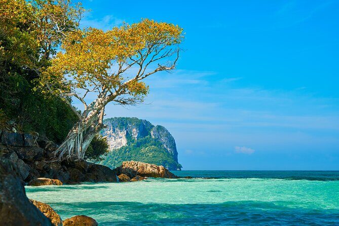 Bamboo Island Half Day Fishing Trip from Pattaya - What Travelers Should Know
