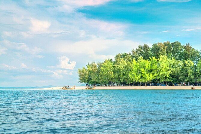 Bamboo Island Half Day Fishing Trip from Pattaya - The Sum Up