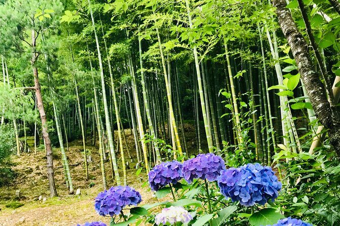 Bamboo LED Lantern Making Experience in Kyoto Arashiyama - Who Should Consider This Experience?