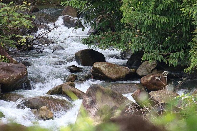 Bamboo Rafting, ATV Riding and Zip Line Tour From Phuket - Final Thoughts