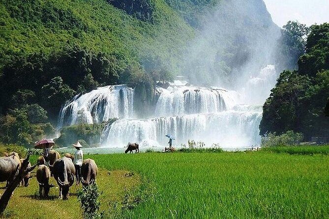 Ban Gioc Waterfall 2 Days 1 Night From Hanoi - Value for Money