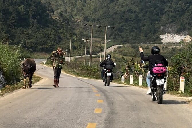 Ban Gioc Waterfall Full-Day With Local Guide - Key Points