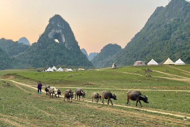 Ban Gioc Waterfall & Mt Angel Eye Full Day Trip with Easy Rider - What’s Included and What’s Not