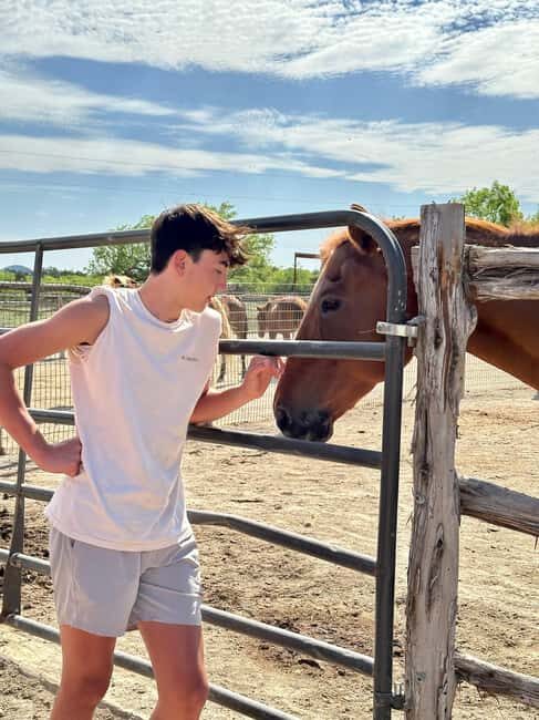 Bandera: Ranch Visit with Longhorns and Horses - Who Will Enjoy This Tour?