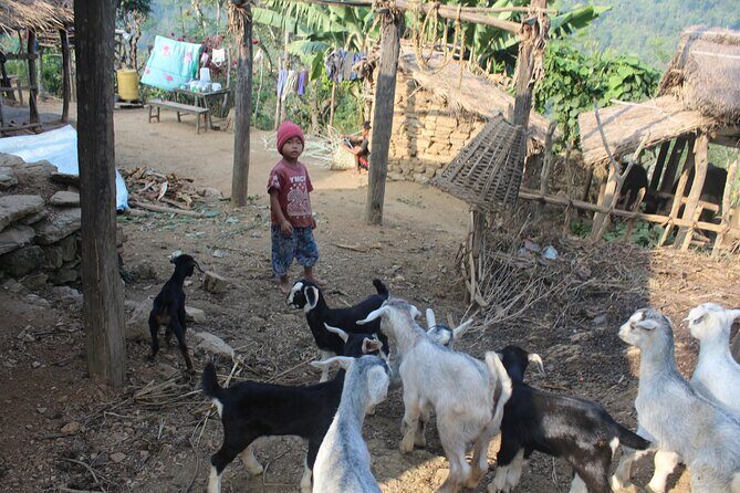 Bandipur to Ramkot full day with local guide full day - Summary of the Experience