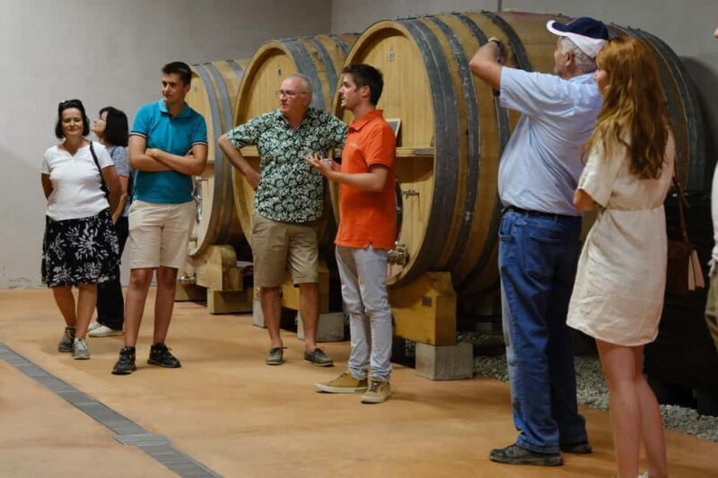 Bandol: family vineyard tour and tasting - Key Points