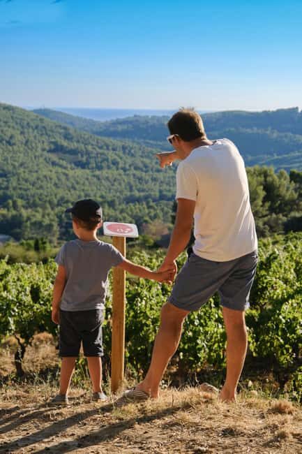 Bandol: family vineyard tour and tasting - Pricing and Value