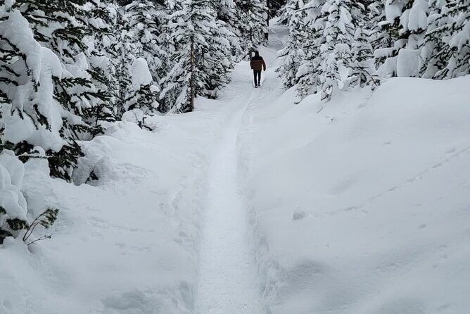Banff and Yoho Rocky Mountain Discovery Day Tour from Calgary - FAQ: Practical Questions