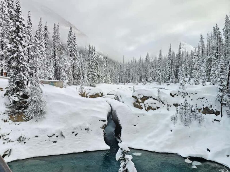 Banff and Yoho Winter Wonderland Private Tour - Breaking Down the Cost and Value