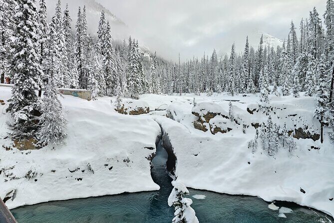 Banff and Yoho Winter Wonderland Private Tour - Key Points