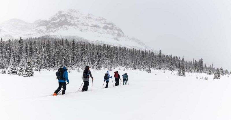 Banff: AST 1 - Avalanche Skills Training Level 1 - The Value of Avalanche Skills Training