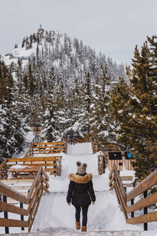 Banff: Banff Town, Gondola, and Canyon Day Tour - Who Should Consider This Tour?