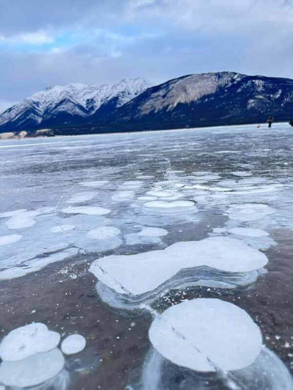 Banff: Banff & Yoho National Park Lakes and Gondola Tour - Exploring the Tour in Detail