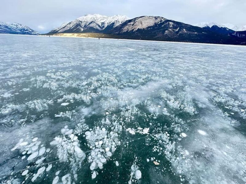 Banff: Banff & Yoho National Park Lakes and Gondola Tour - Authentic Experiences and Traveler Feedback