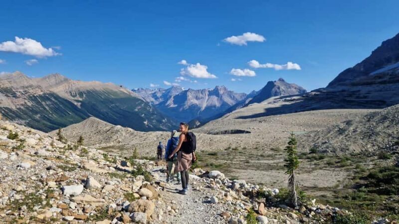 Banff Canmore: Bear Country Wildlife Focused Guided Hikes - Pricing and Value: What Youre Getting