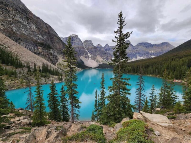 Banff Canmore: Bear Country Wildlife Focused Guided Hikes - Final Thoughts: Who Should Consider This Tour?