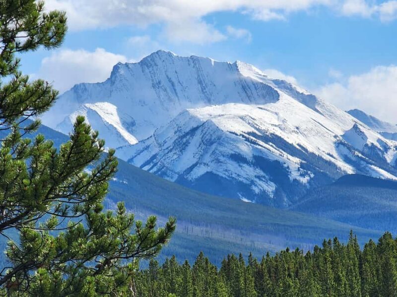Banff Canmore: Wildlife Focused Guided Snowshoeing Adventure - An In-depth Look at the Wildlife Snowshoeing Tour