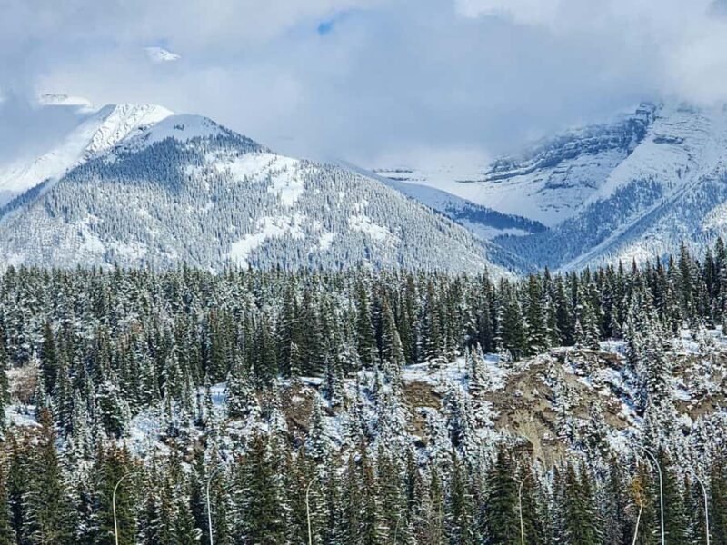 Banff Canmore: Wildlife Focused Guided Snowshoeing Adventure - FAQ