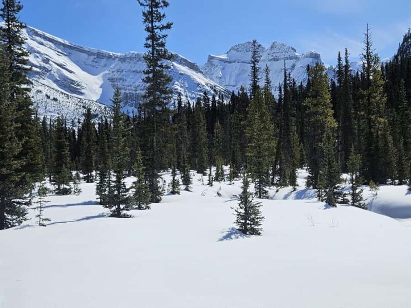 Banff: Chickadee Valley Snowshoe & Marble Canyon Walk - FAQ