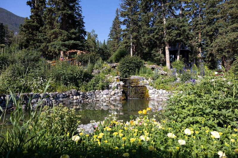 Banff: Edible and Medicinal Plants Nature Walk - Tour Logistics and Practical Considerations