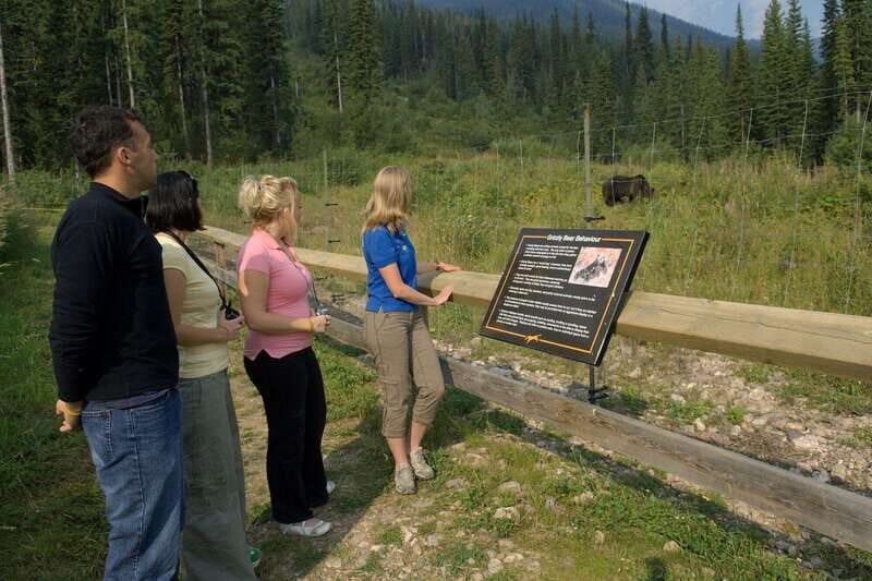 Banff: Edible and Medicinal Plants Nature Walk - FAQ
