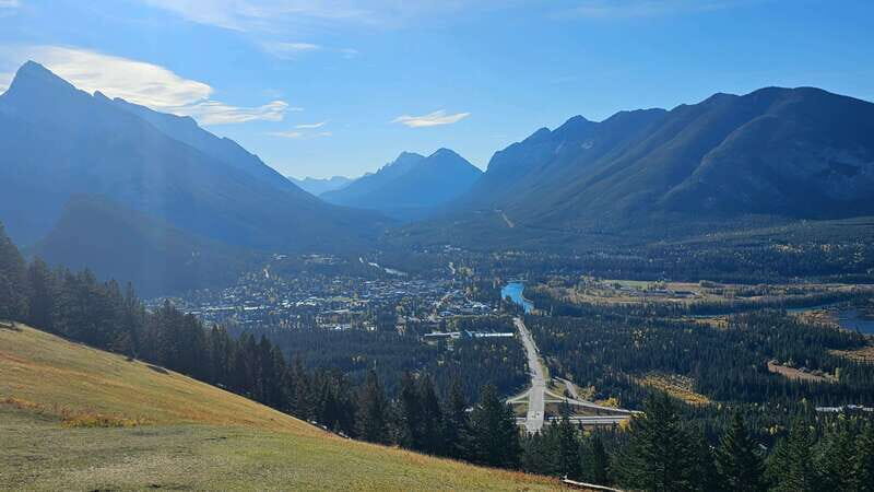 Banff: Evening Wildlife Safari Guided Tour - Wildlife Sightings: A Matter of Luck and Skill