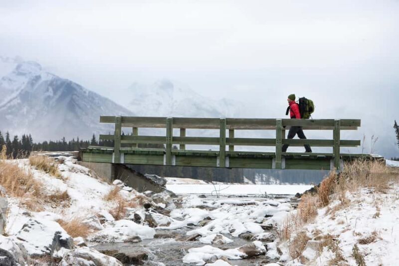Banff: Explore Winter Nature Walk - Ice Cleats Included 2H - Wildlife and Nature Insights