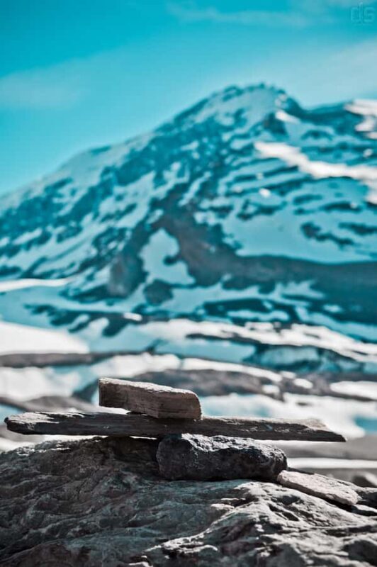 Banff: Explore Winter Nature Walk - Ice Cleats Included 2H - What Travelers Are Saying