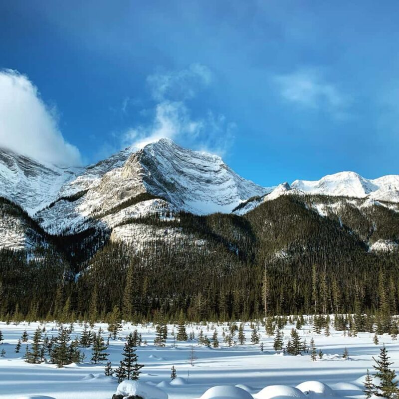 Banff: Explore Winter Nature Walk - Ice Cleats Included 2H - Who Should Consider This Tour?