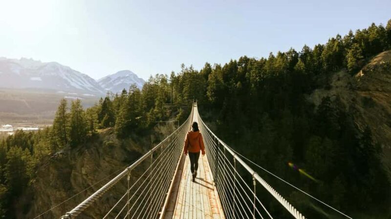 Banff: Golden Skybridge, Emerald Lake, Takakkaw & Wapta Fall - Who Should Consider This Tour?