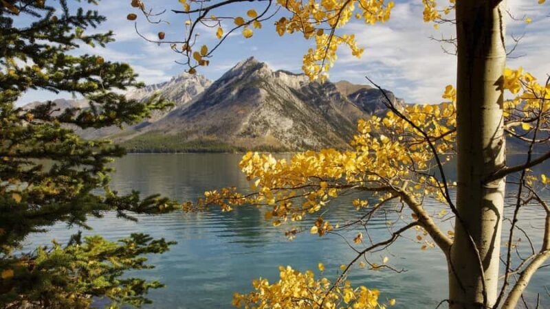 Banff Gondola Johnston Canyon Lake Minnewanka Banff day tour - Banff Gondola: Soaring Above the Rockies