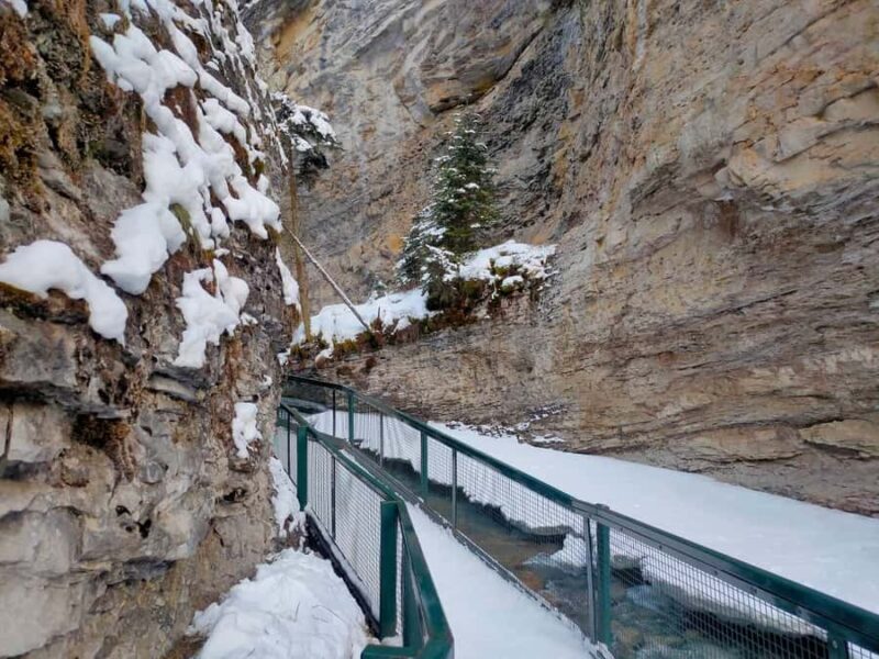 Banff Gondola Johnston Canyon Lake Minnewanka Banff day tour - Free Time in Banff Town