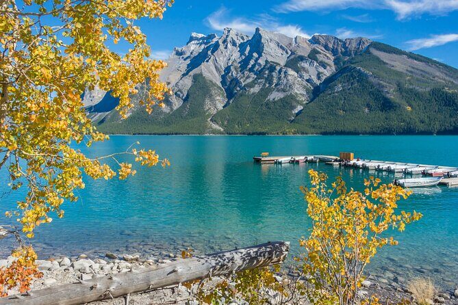 Banff Gondola, Lake Louise, Emerald Lake and Lake Minnewanka Tour - What the Reviews Say