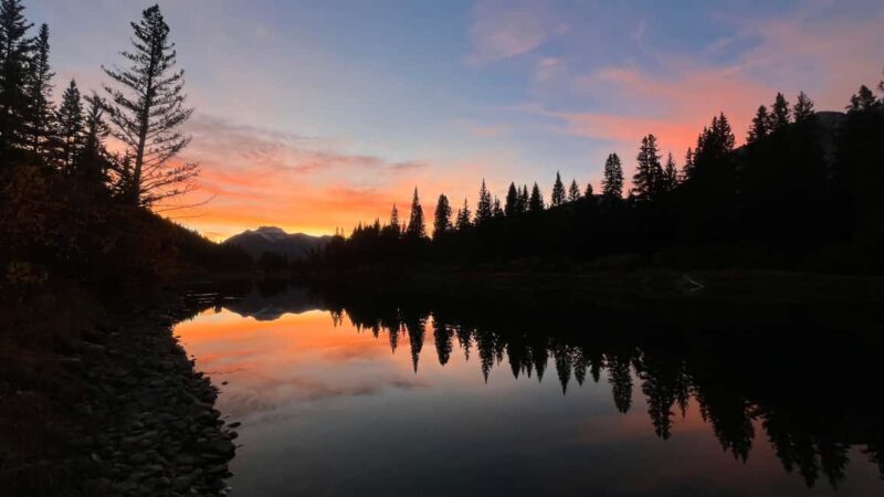 Banff: Grizzly Bear & Nature Walk & Hidden Gem Sunset Tour - Introduction