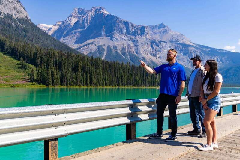 Banff: Grizzly Bear Refuge Tour with Lunch - Key Points