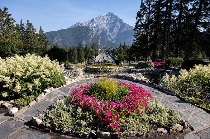 Banff Highlights E-Bike Tour - Cost and Value