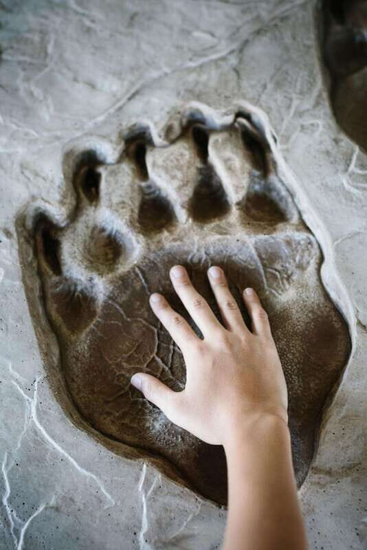 Banff: History Tour with Private Group Museum Tours + Entry - Who Will Love This Tour?