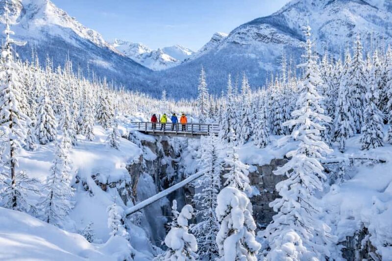 Banff: Johnston Canyon, Marble Canyon, & Lake Louise Tour - Who Will Love This Tour?