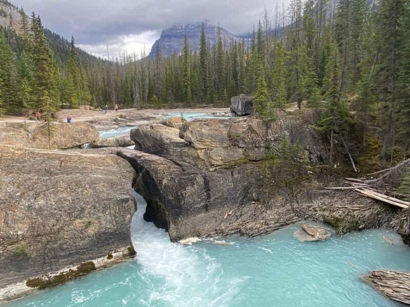 Banff: Lake Louise, Emerald Lake, and Johnston Canyon Tour - Authentic Experiences and What Travelers Say