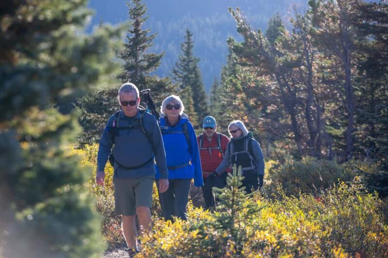 Banff: Larch Valley Guided Hike with Lunch & Transfers - Price and Value