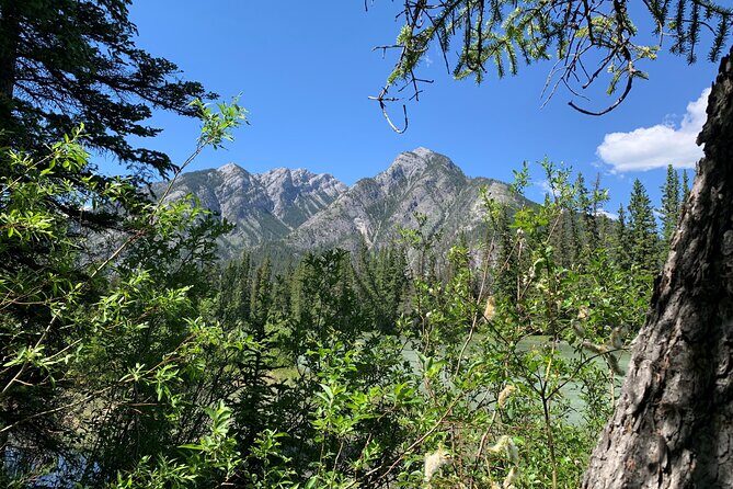 Banff LOST TOWNS and Untold Stories! 2hr Walk + Transportation - Key Points