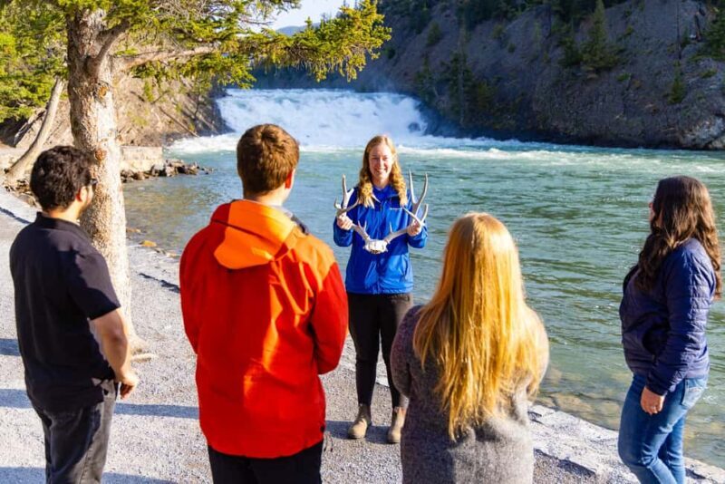 Banff Morning Tour Scenic Highlights and Gondola Ride - The Sum Up: Is This Tour Worth It?