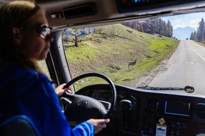 Banff Morning Tour Scenic Highlights and Gondola Ride - FAQ