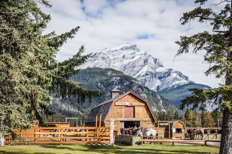Banff National Park: 1-Hour Bow River Horseback Ride - Who Will Love This Tour?