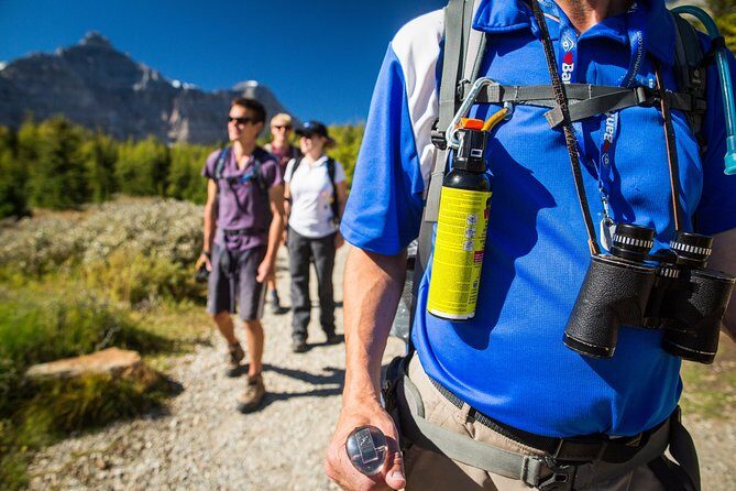 Banff National Park Guided Hike with Lunch - Who Should Consider This Tour?