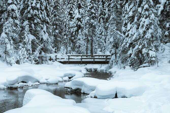 Banff National Park & Lake Louise FULL DAY PRIVATE TOUR - Final Thoughts: Is This Tour Right for You?